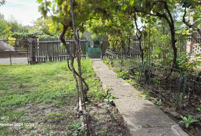 Casa Viisoara - 2
