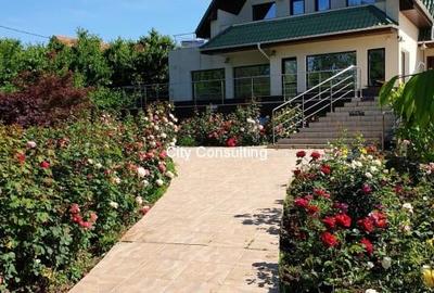 Vanzare vila Mogosoaia - Chitila Lac - 1