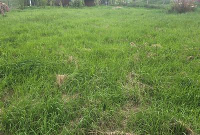 Teren Construcții intravilan de 400 mp, în Zăvoi - 4