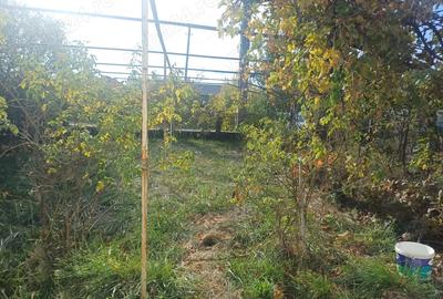 Vand casa comuna Cocu,sat Crucisoara - 5