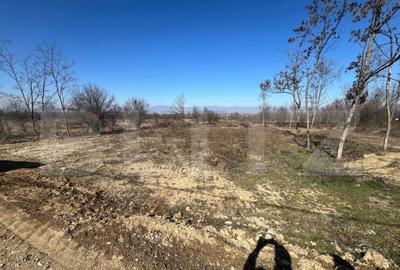 Oportunitate de investitie! Teren intravilan de vanzare, 170 - 1