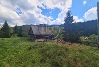 Cabana de munte cu 2543 mp teren, aproape de pârtia Mărișel și Lacul Beliș - 8