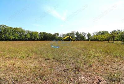 Teren intravilan de vanzare Banesti, Prahova - 2