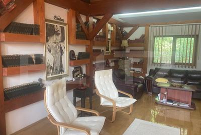 Vila in stil elvetian Campulung Moldovenesc, 155 mp - 8