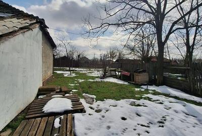 Casă cu 3 camere în Negoești - 1