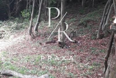 Teren Construcții extravilan de 10000 mp, în Măguri-Răcătău - 4