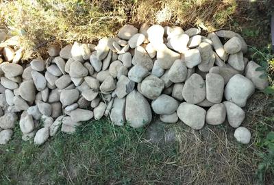 Teren de 1500 mp, în Săbăreni - 5