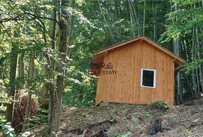 Teren de 5727 mp, în Buceș - 14