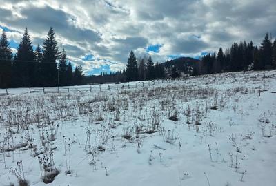 Teren intravilan de 15000 mp, în Gura Haitii - 3