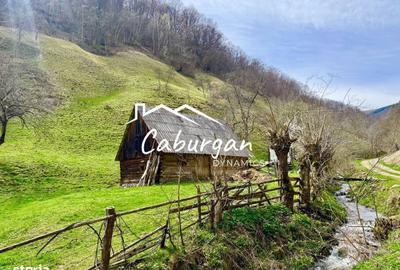 Spațiu comercial, în Câineni - 1