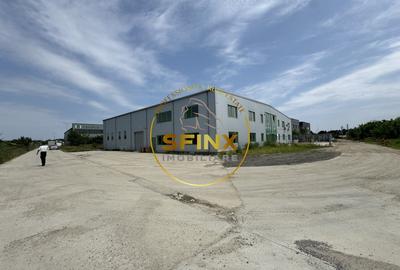 Hala si birouri zona Mogosoaia sos Odai - 17