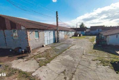 Spațiu comercial, de 820 mp, în Girișu de Criș - 8