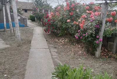 Casă cu 4 camere cu Teren 3046 Mp în Zebil - 4