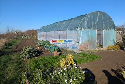 Adunatii Copaceni vila P+1 ,5 camere,suprafata 165 mp, teren 1300 mp - 25