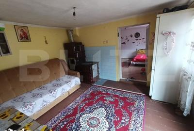 Casă cu 5 camere cu Teren 2482 Mp în Pianu - 4