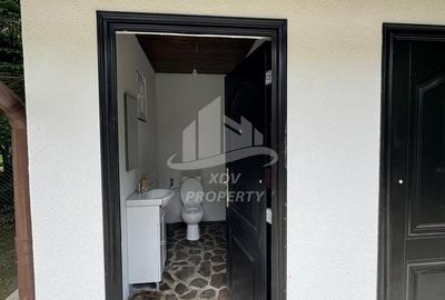 Pensiune/ Vila Valea Avrigului - 26