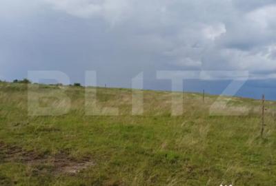 Teren de 1249 mp, în Copăceni - 2