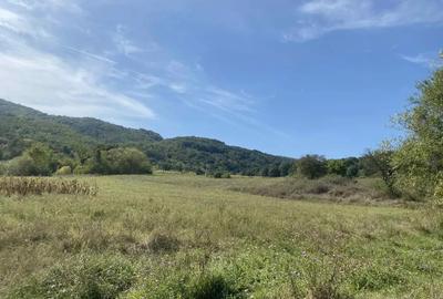 Casa de vanzare+terenuri - 5