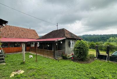 Casa ?i teren Varmaga Hunedoara - 3