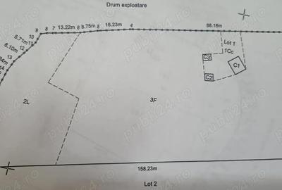 Oferta luna aceasta! Teren 10000 mp in Corbi Arges - 7