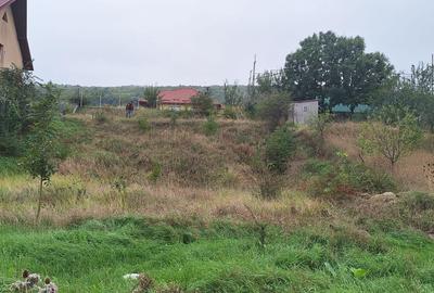 Spațiu comercial, în Tomești - 12