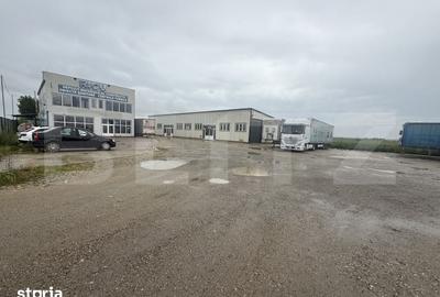 Spațiu comercial, de 1,120 mp, în Mogoșoaia - 8