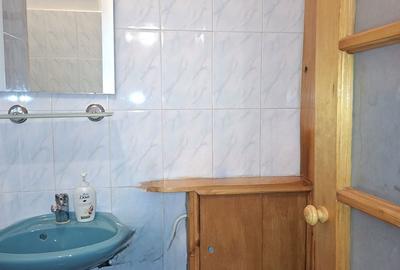 Apartament cu 3 camere decomandat în Craiovița Nouă - 20