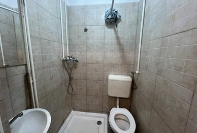 Garsoniera Calea Lipovei - 7