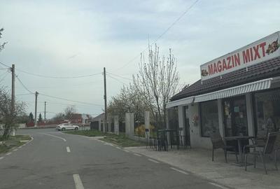 Teren de 700 mp, în Sinești - 8