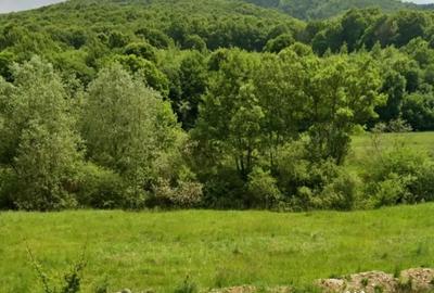 Teren de 965 mp, în Măieruș - 5