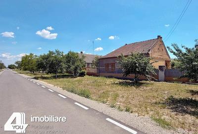 Casă cu 4 camere cu Teren 1459 Mp în Secusigiu - 16