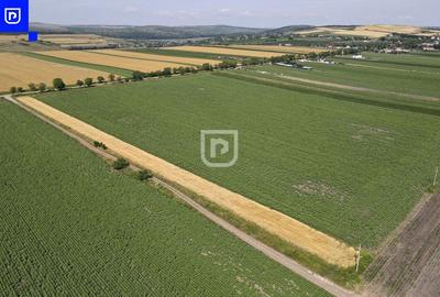 Teren - Oraseni Deal, Curtesti | BOTOSANI | 20.400mp - 5