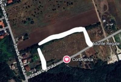 Teren Corbeanca 20.000 mp PUZ Aprobat, deschidere la padure - 3