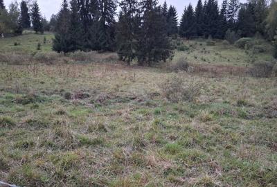 Spațiu comercial, în Panaci - 4