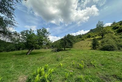 Teren 2 hectare pe Valea Ariesului, zona Scarita-Belioara, pret oportun 2 Eur/mp - 9