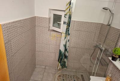 Apartament 2 camere in Tatarasi - Ciurchi - 10