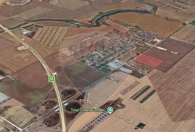 Teren de 50000 mp, în Sud - 4