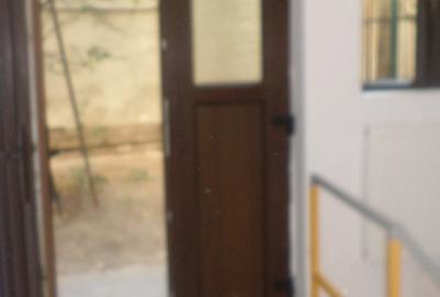 FLOREASCA, Ultracentral, spatiu in curte, la casa, - 15