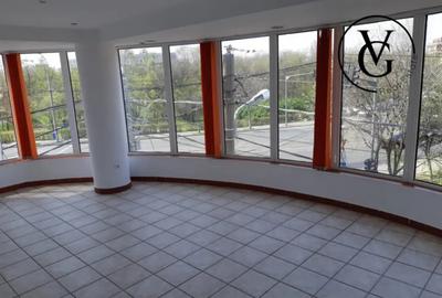 Casă cu 10 camere în Floreasca - 3