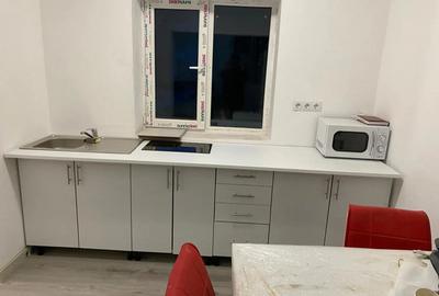Dau in chirie garsoniera 24 mp proaspat renovat ultracentral 250 euro - 4