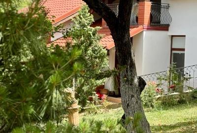 Casă individuală cu 5 camere cu Teren 10000 Mp în Ghioroc - 16