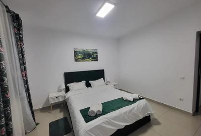 Apartament cu 2 camere decomandat în Central - 9