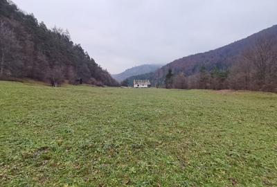 Teren Straja - Pangarati 3560 m, zona de Pensiune