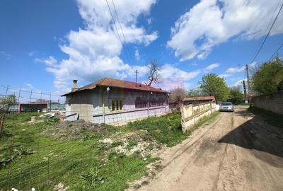 Teren de 975 mp, în Cernica - 7