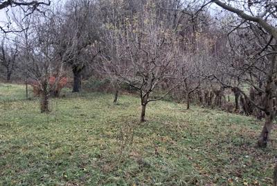 Casa cu 1000 m2 teren, 40 km Sinaia, 15km Pucioasa - 3