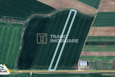 Teren agricol extravilan de 10422 mp, în Zimandcuz - 2