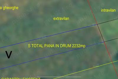 Casa P+M cu 3650 mp teren cu toate utilitatile - 6