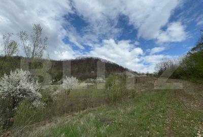 Vand 17 ha teren extravilan, Carmazanesti - 2