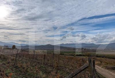 Teren pretabil pentru cabana, cu view - 2