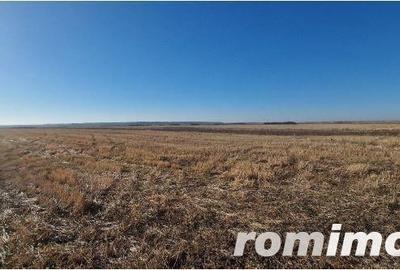 Teren Gradinari, cota 1/2. ID: R1983933 - 4